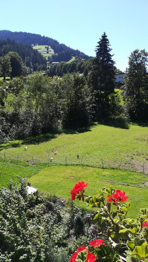 Appartement Maurer Нидерау Экстерьер фото
